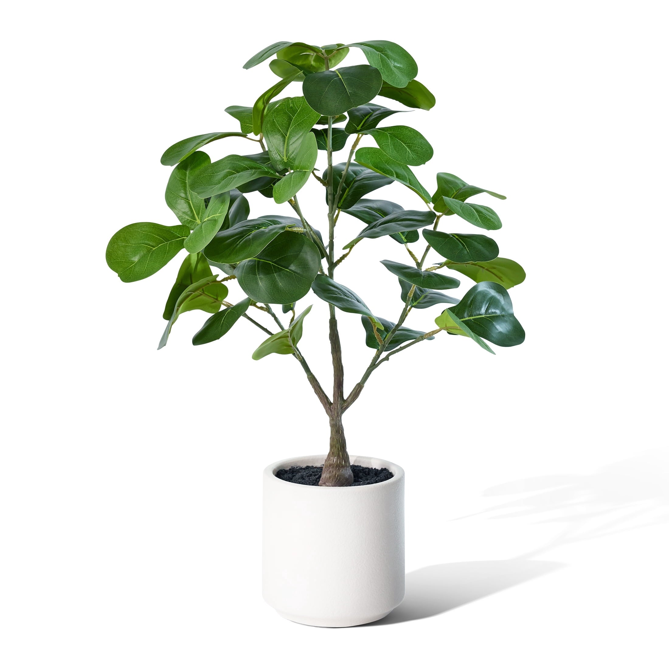 DR.Planzen Artificial Fiddle Leaf Fig Tree, 25.6 Inch Tall Lifelike Fake Plant in White Pot, Realistic Indoor Ficus Lyrata for Home Office Living Room Decor