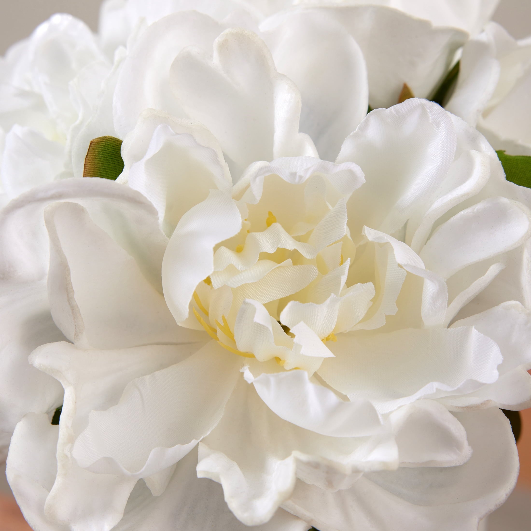 DR.Planzen Artificial White Peony Bouquet in Cylinder Vase with Faux Water, 6 Stems with 6 Realistic White Peony Blooms, 10.6" Tall Ready-to-Use Home Office Centerpiece Decor