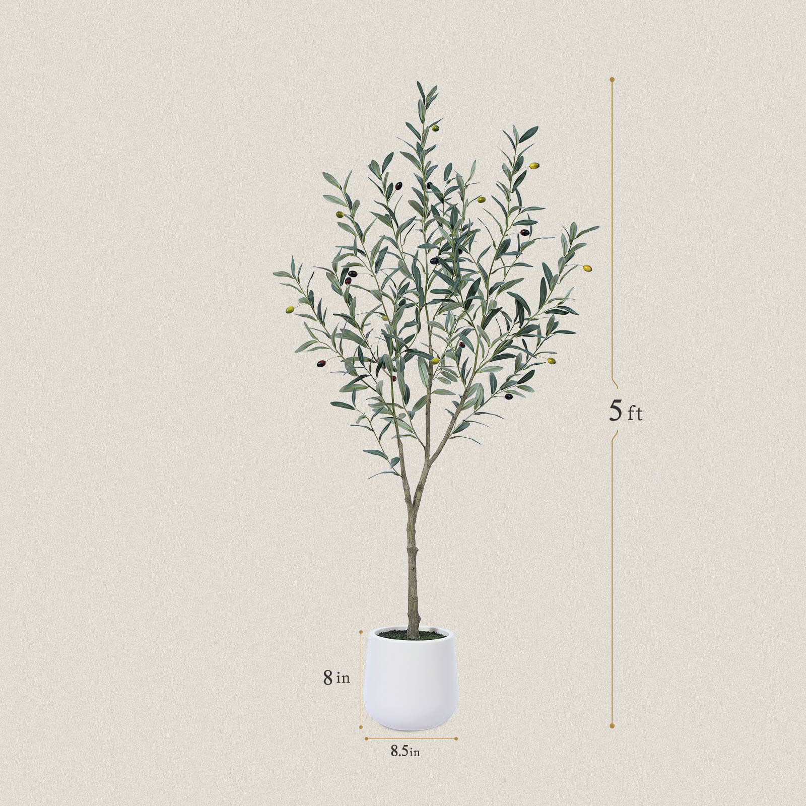 #size_5ft