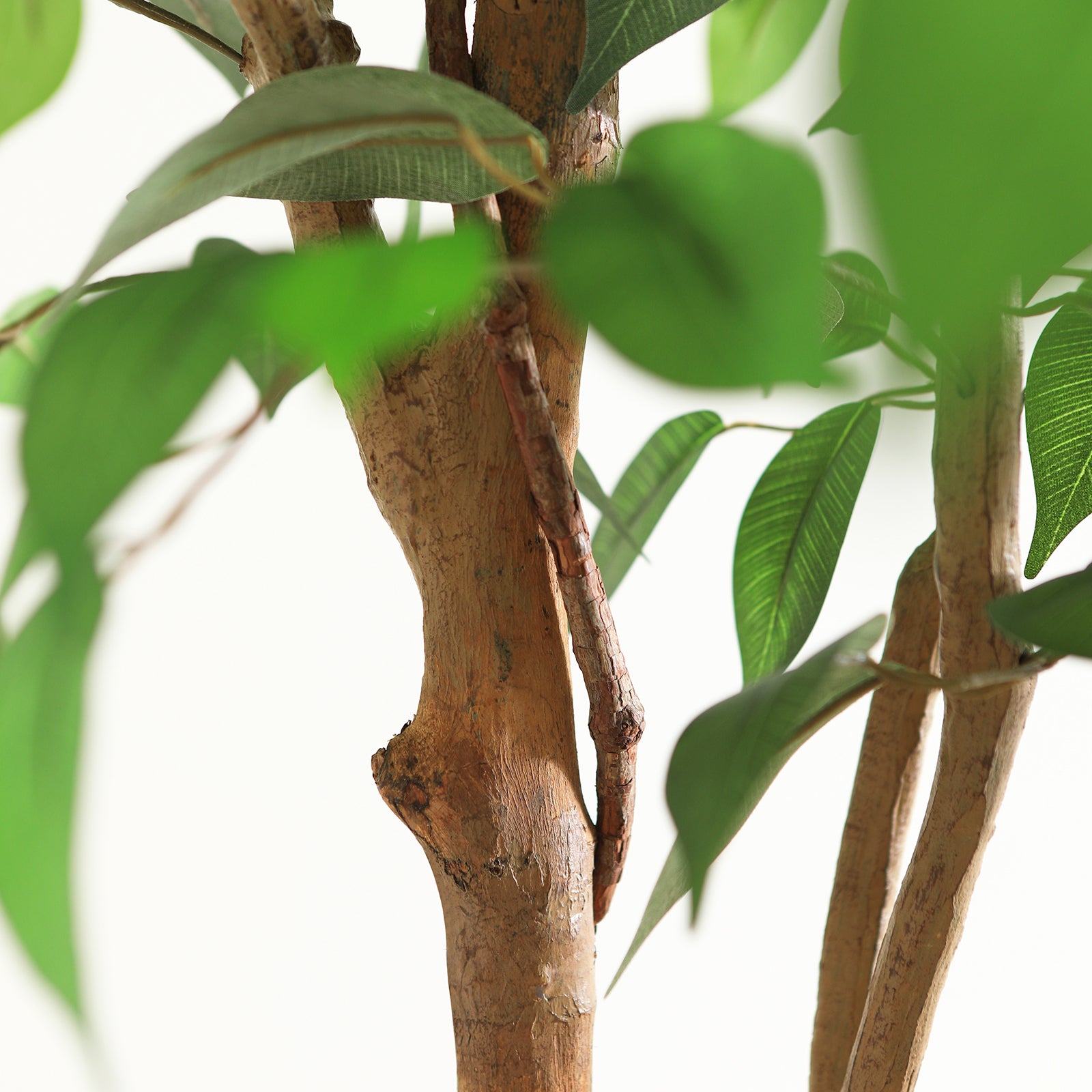 VeriNatural 6FT Faux Ficus Tree – Indoor Plant Decor with Natural Wood Trunk