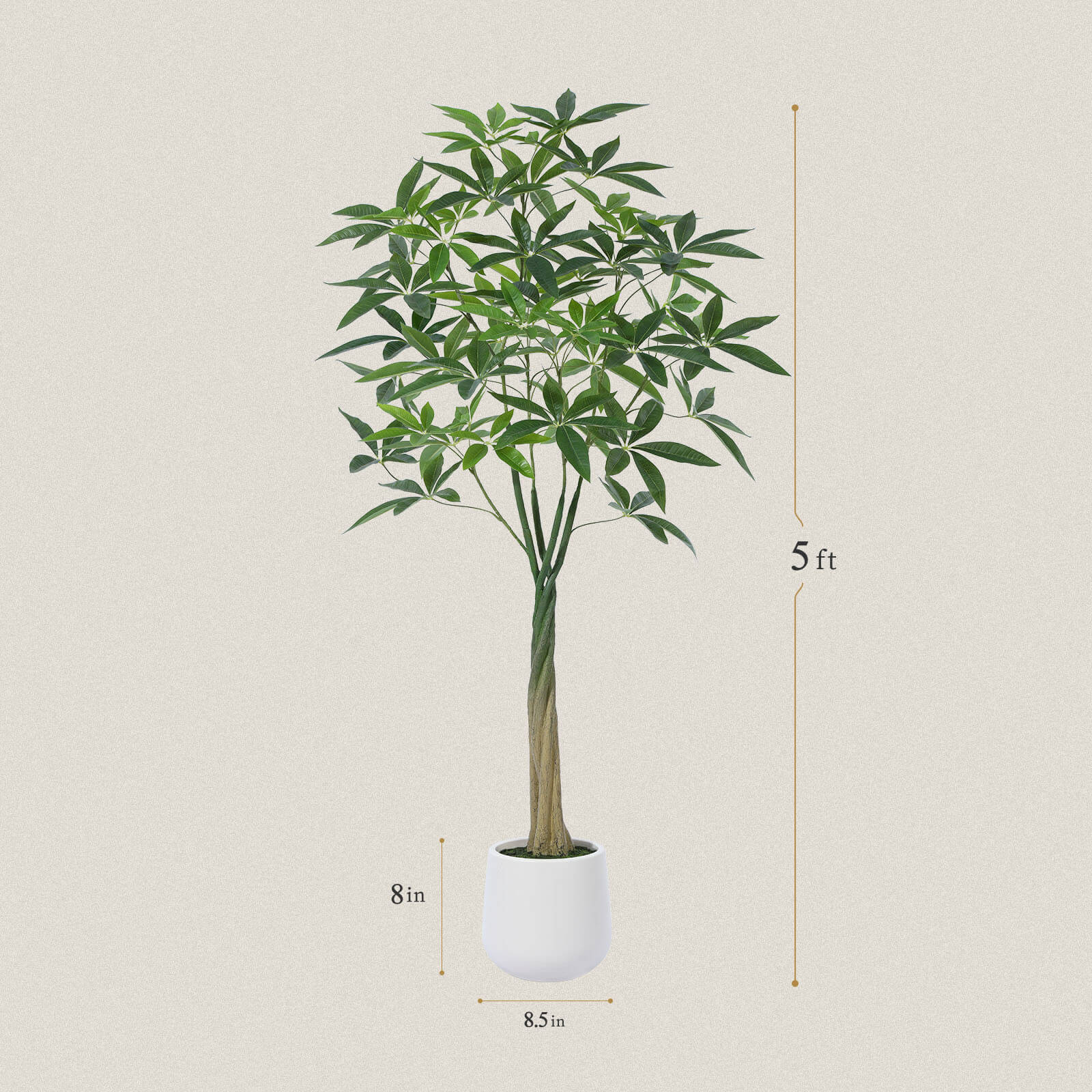 #size_5ft