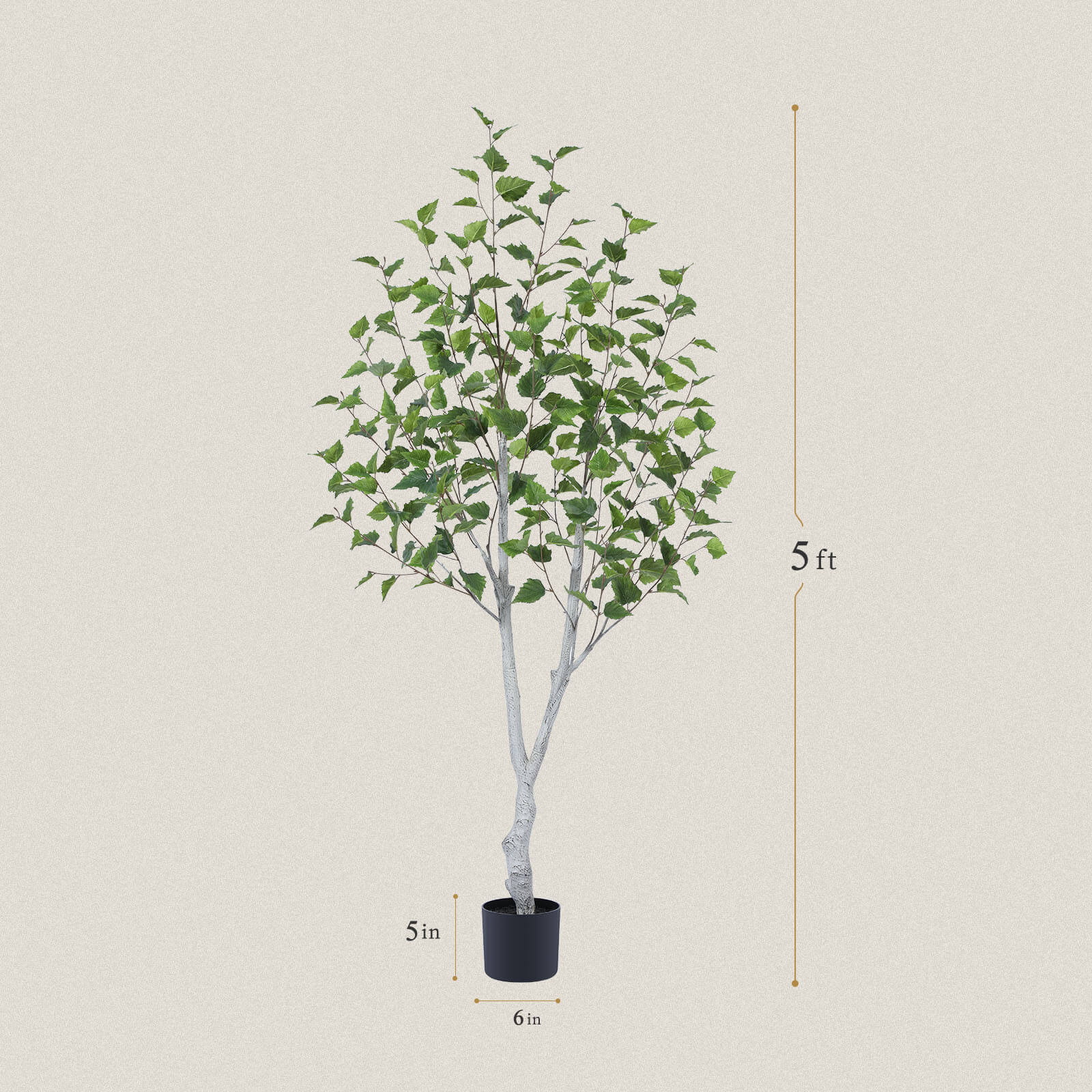 #size_5ft