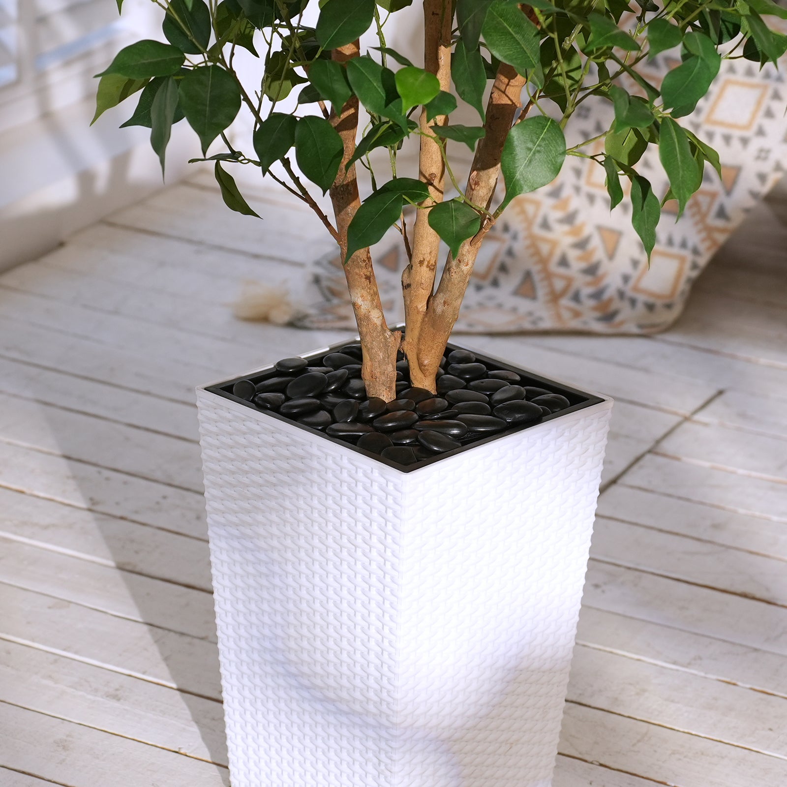 #size_5ft, #color_white