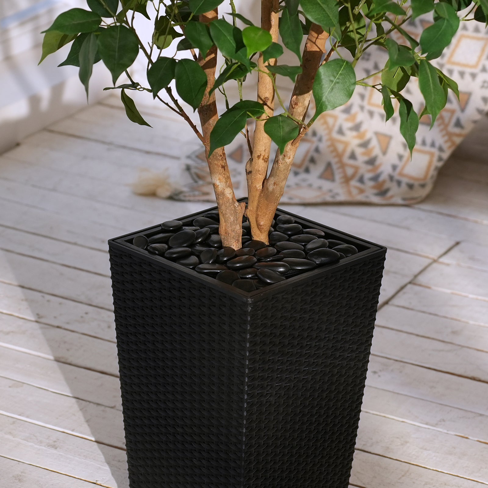 #size_5ft, #color_black