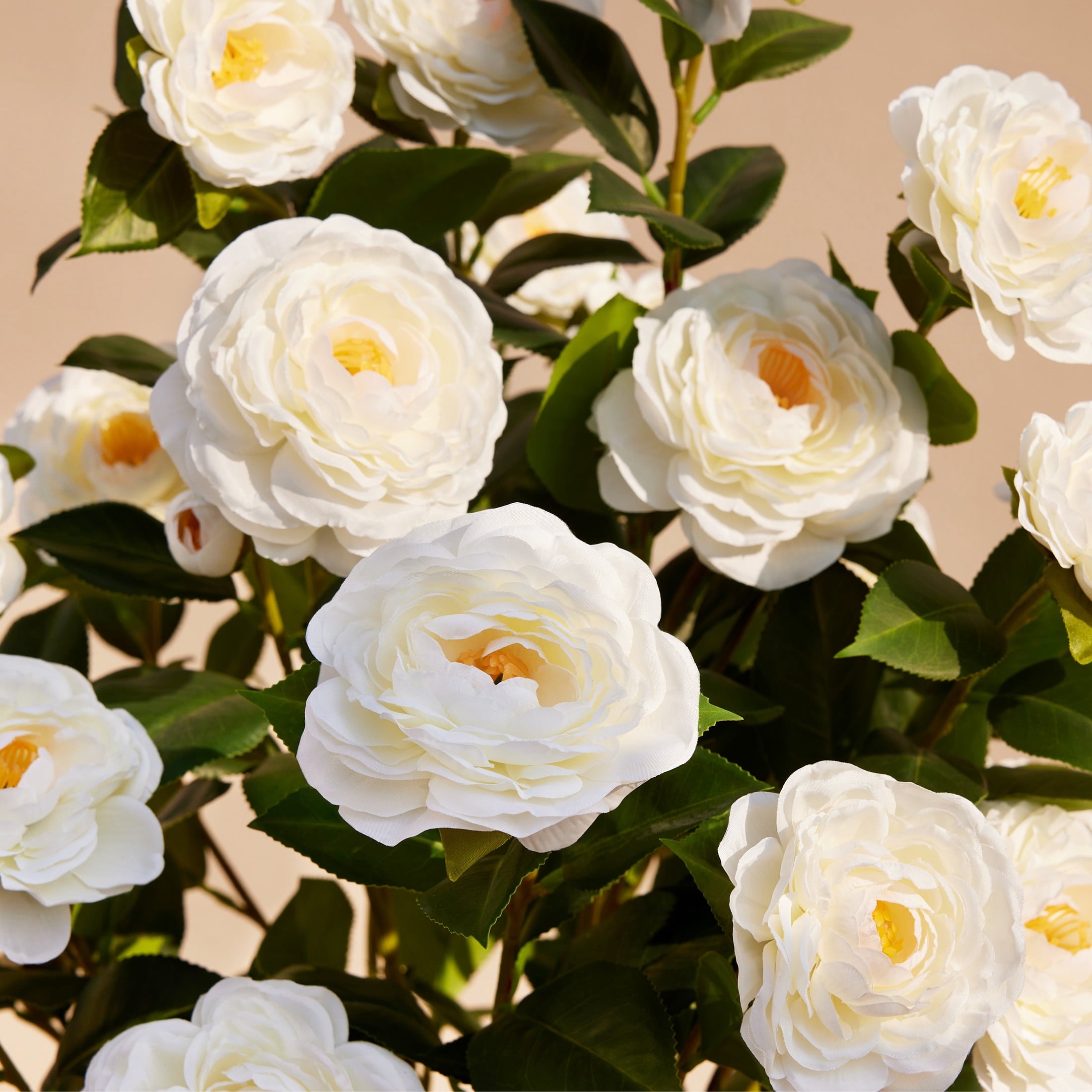 DR.Planzen 2 Pack 2 ft Artificial Camellia Tree, Faux Camellia Plant in Pot, 24in Full White Blooms, 28 flowers & 175 leaves - indoor decor for Entryway Front Door Covered Porch Living Room Wedding