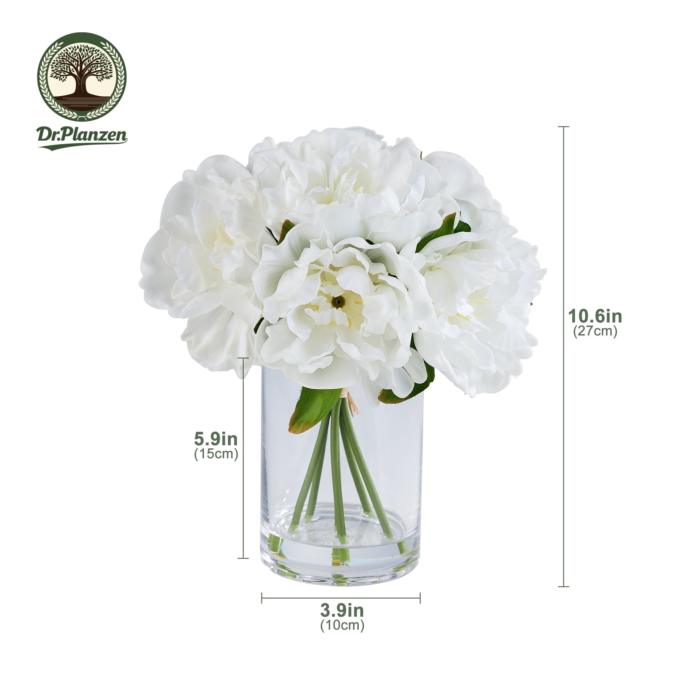 DR.Planzen Artificial White Peony Bouquet in Cylinder Vase with Faux Water, 6 Stems with 6 Realistic White Peony Blooms, 10.6" Tall Ready-to-Use Home Office Centerpiece Decor