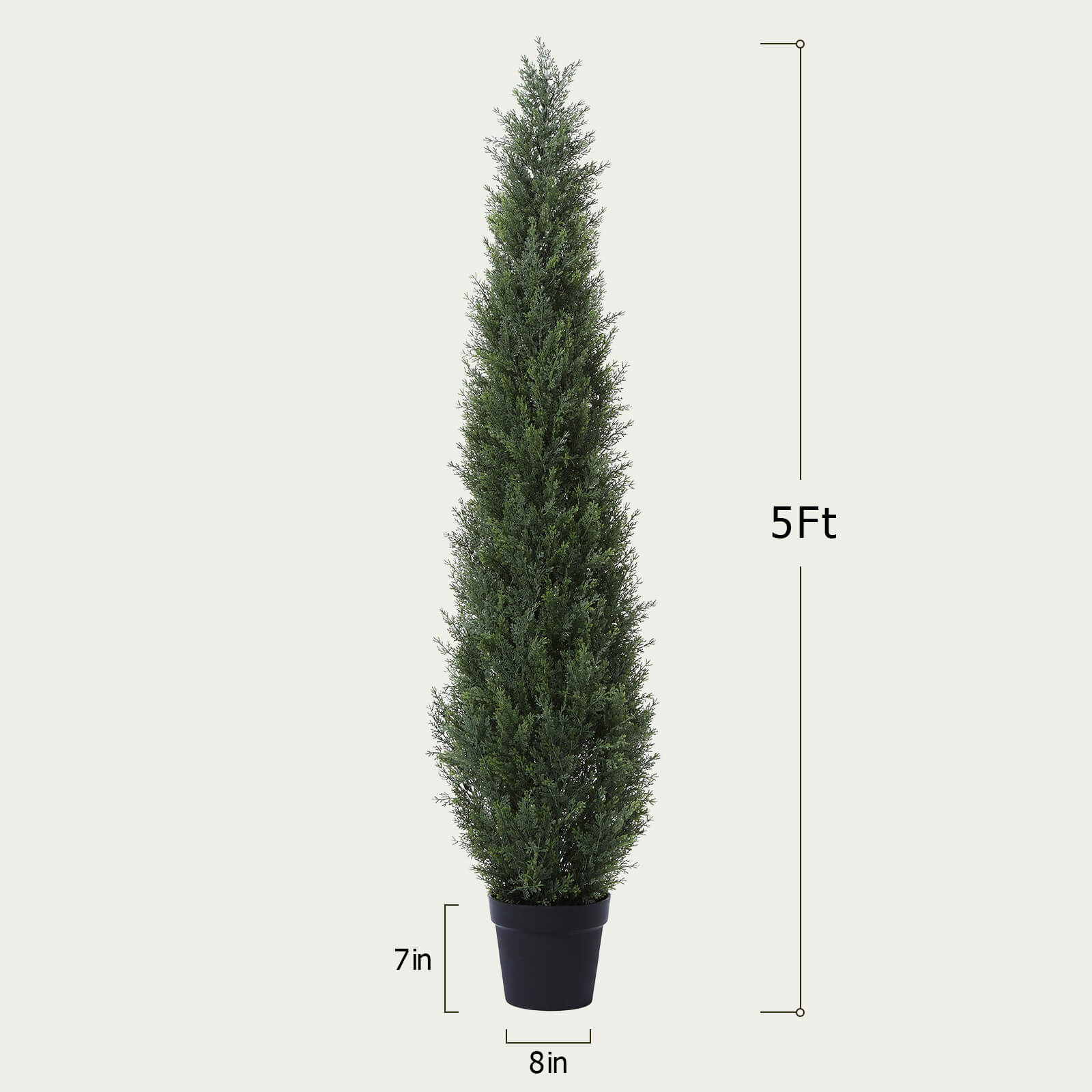 #size_5ft