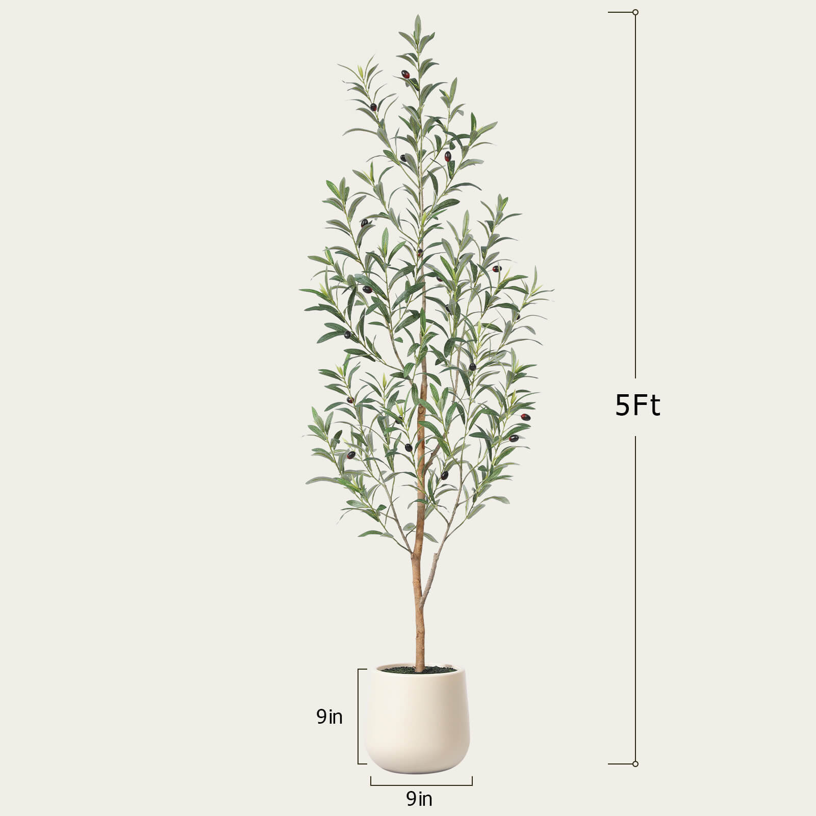 #size_5ft