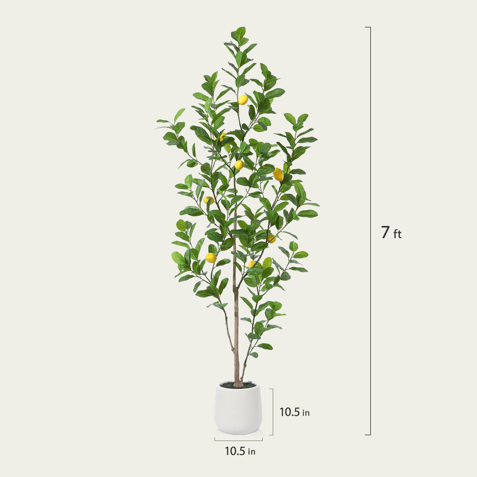#size_7ft