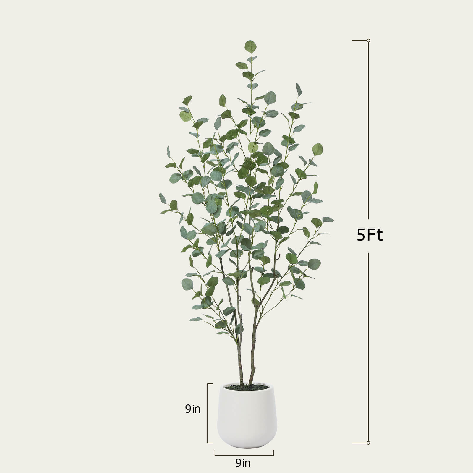 #size_5ft