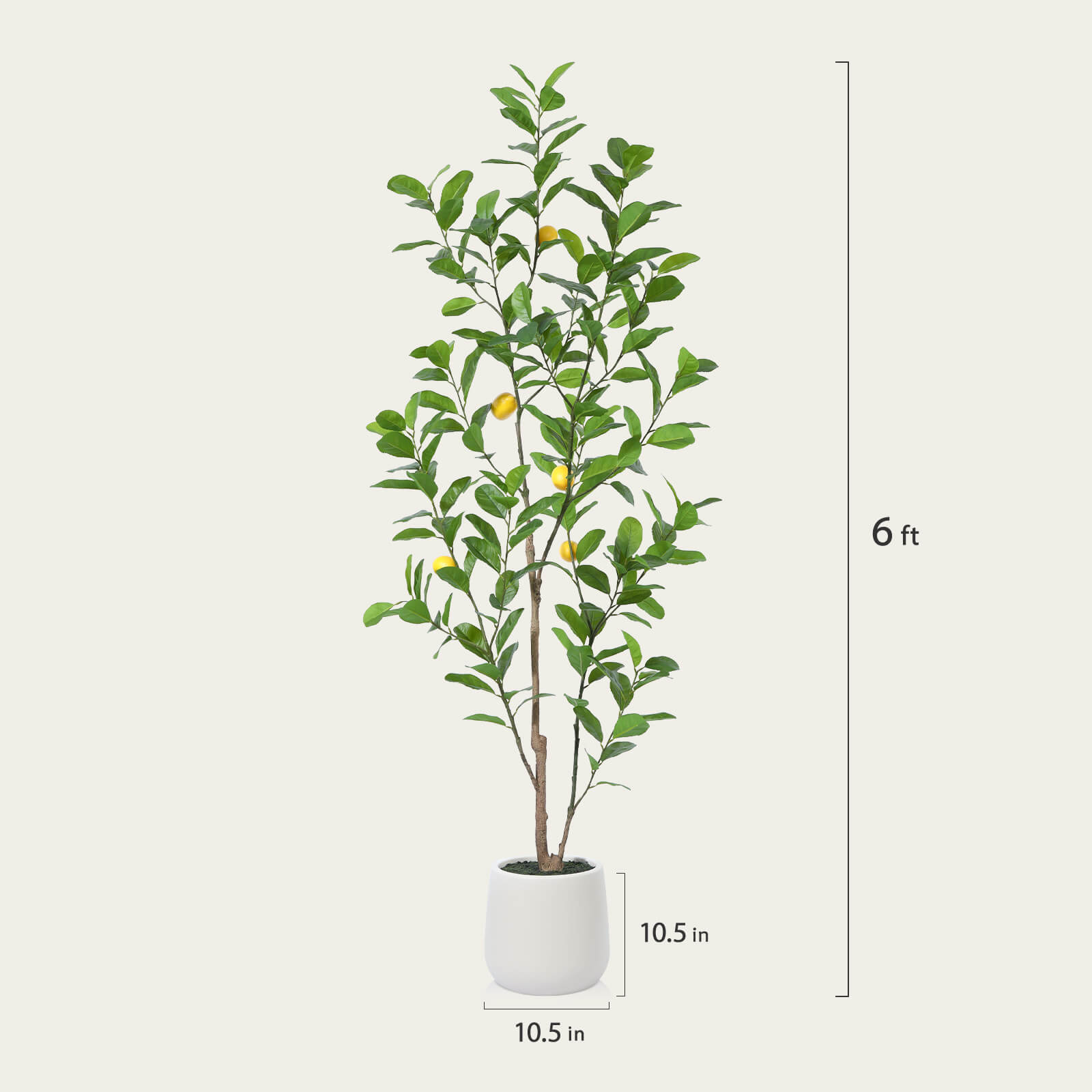 #size_6ft