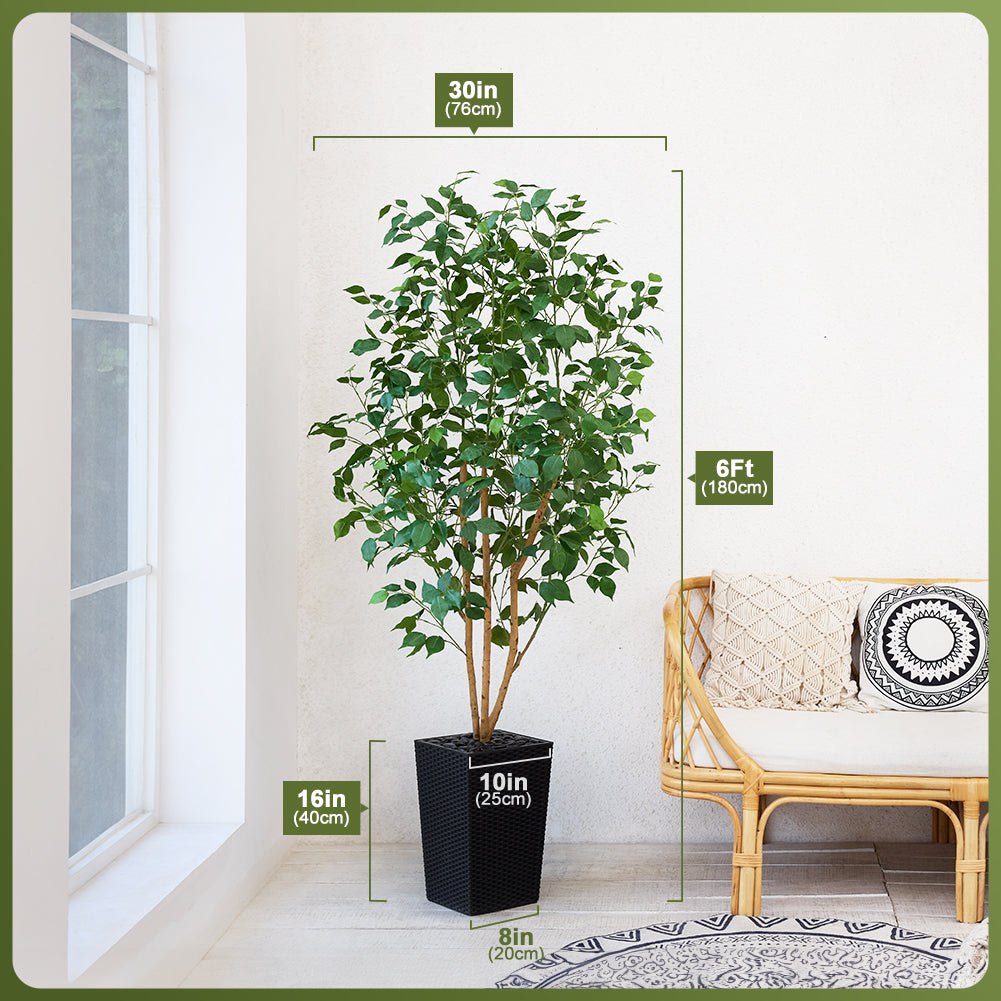 VeriNatural 5/6FT Natural Trunk Artificial Ficus Tree UV Resistant with Black/White Taper Planter for Indoor & Outdoor（VN129）