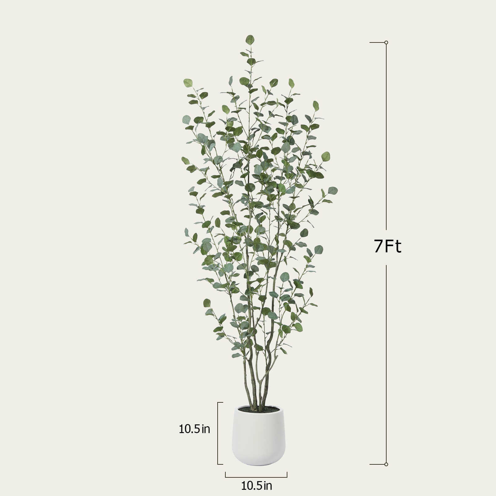 #size_7ft