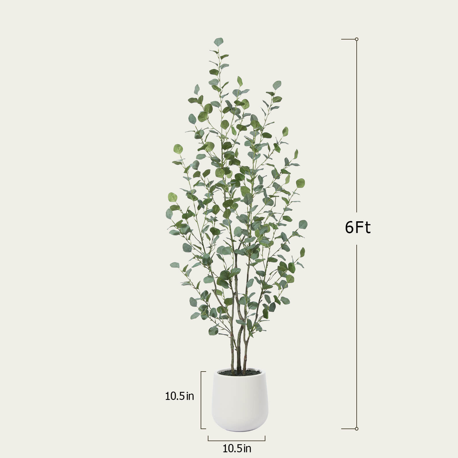 #size_6ft