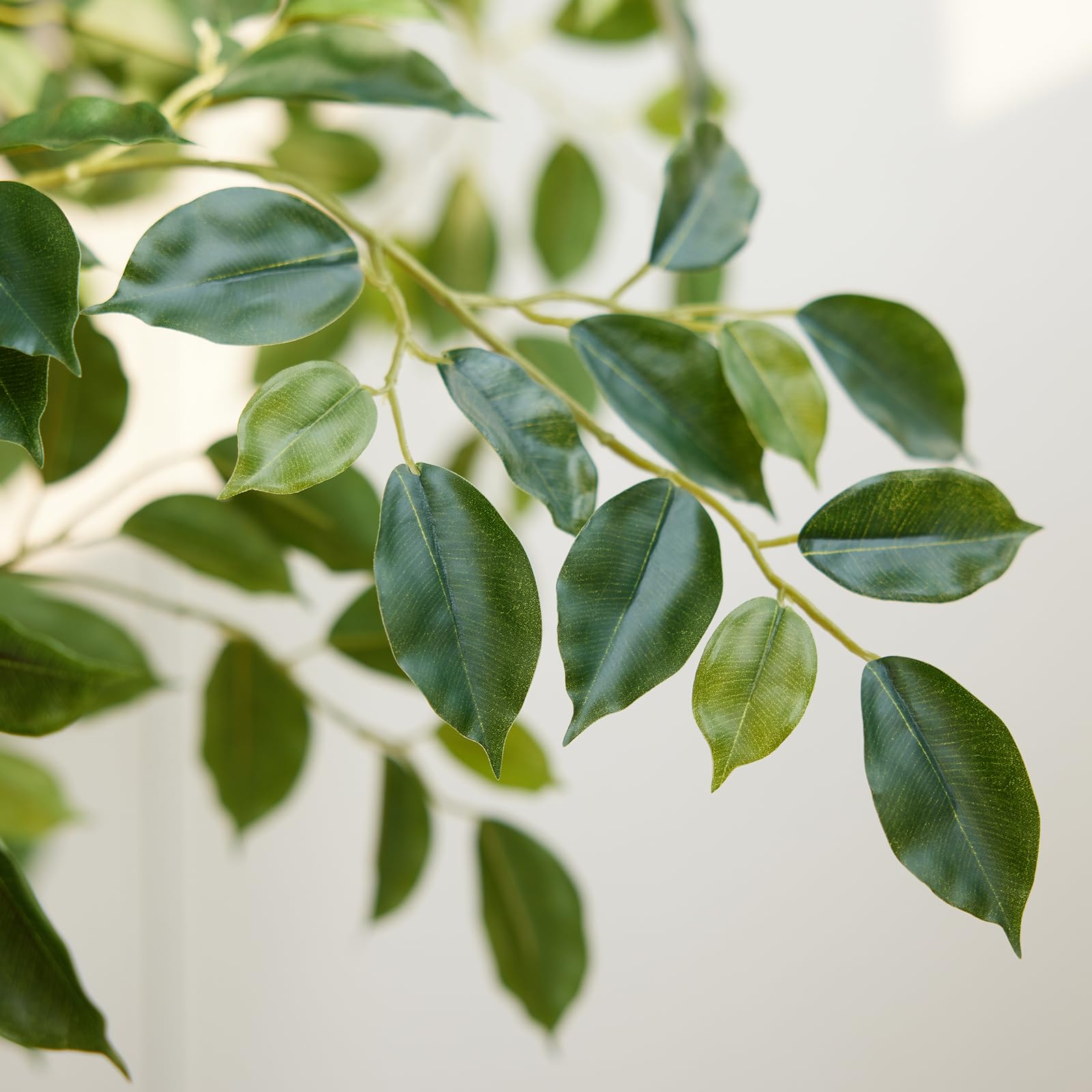 VeriNatural 6/7/8FT Artificial Ficus Tree – Realistic Faux Indoor Plant with White Planter, Floor Decor for Home & Office