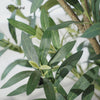 VeriNatural 5/6FT Artificial Olive Tree UV Resistant with Black Taper Planter for Indoor & Outdoor （VN132）