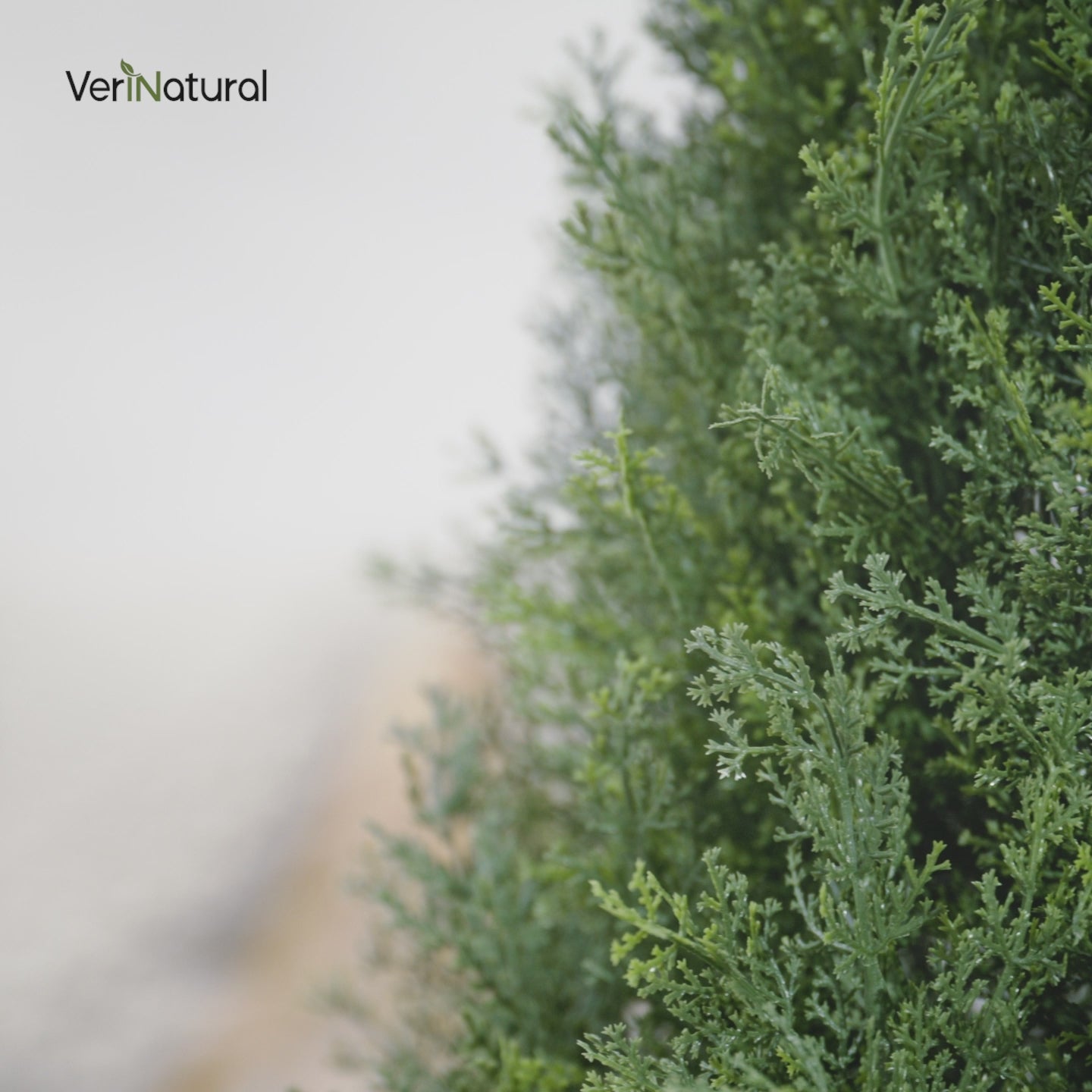 VeriNatural 4/5FT Artificial Cedar Tree with Black Taper Planter for Indoor & Outdoor（VN155）