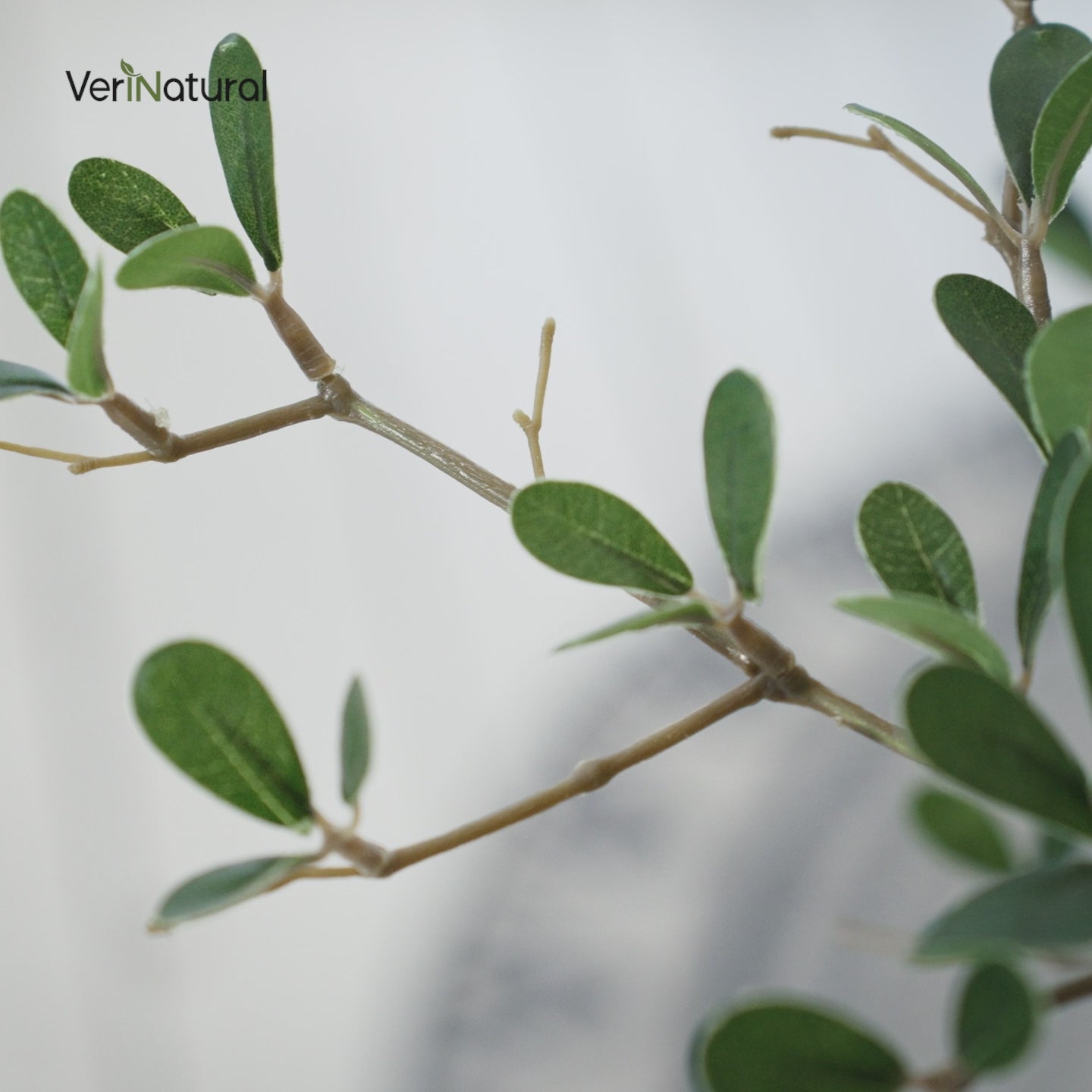 VeriNatural 5/6/7FT Artificial Black Olive Silk Tree UV Resistant with White Planter for Indoor & Outdoor（VN124）
